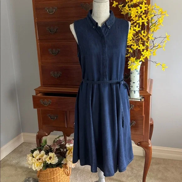 Banana Republic Chambray Denim Blue
Sleeveless Lyocell Shirtdress Size 10 - Picture 2 of 14